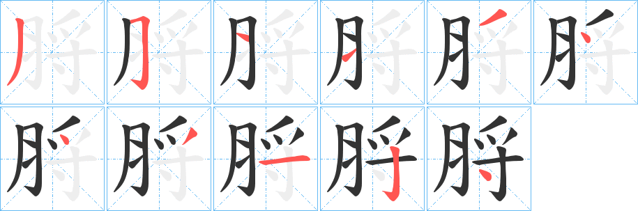 脟的笔顺写法