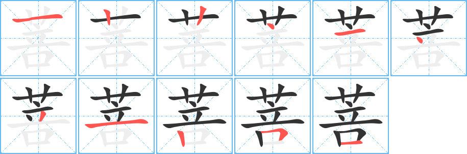 菩的笔顺写法