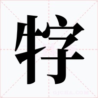牸