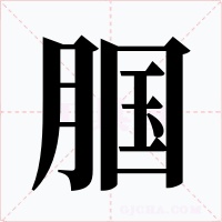腘