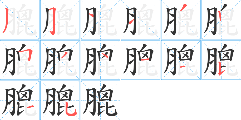 膍的笔顺写法