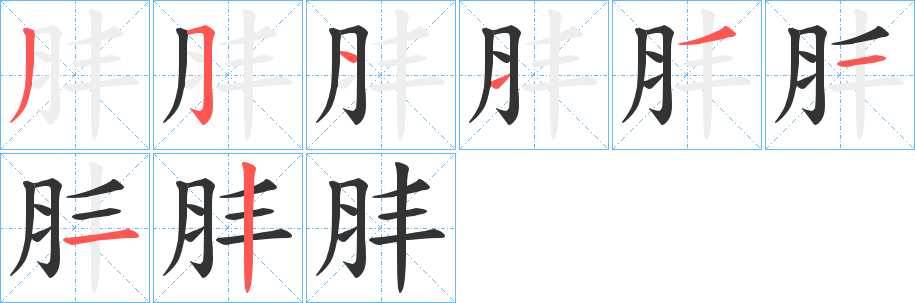 肨的笔顺写法