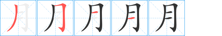 月的笔顺写法