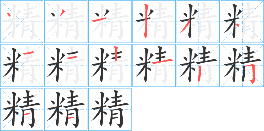 精的笔顺写法