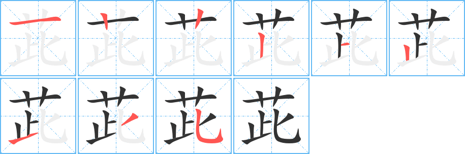 茈的笔顺写法