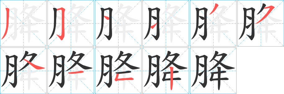 胮的笔顺写法