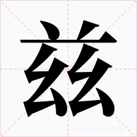 兹