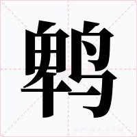 鹎