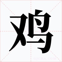 鸡