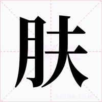 肤