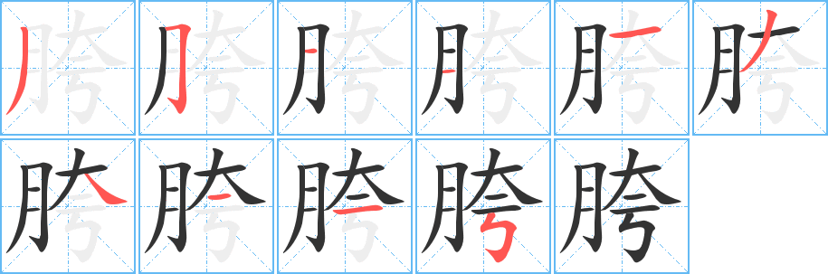胯的笔顺写法