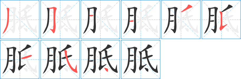 胝的笔顺写法