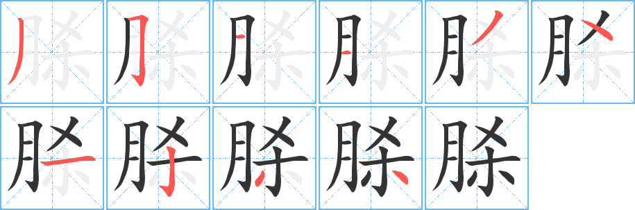 脎的笔顺写法