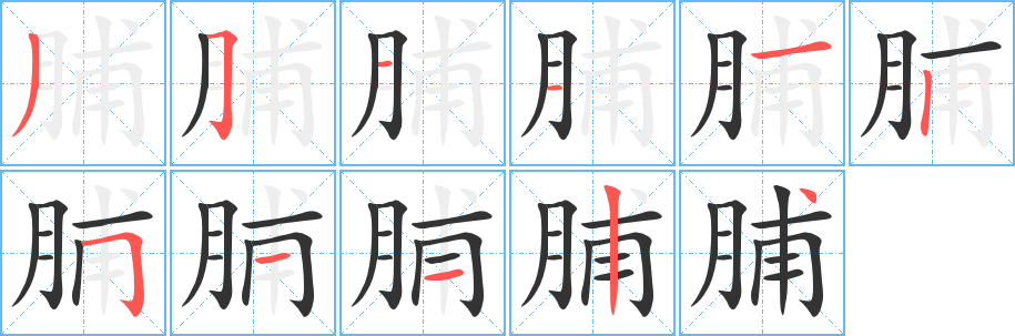 脯的笔顺写法