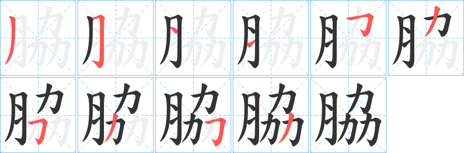 脇的笔顺写法