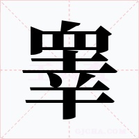 睾