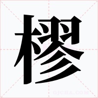 樛