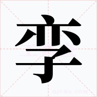 孪