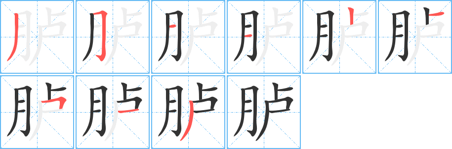 胪的笔顺写法