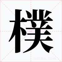 樸