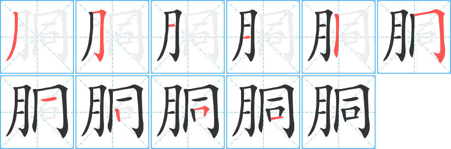 胴的笔顺写法