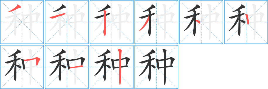 种的笔顺写法