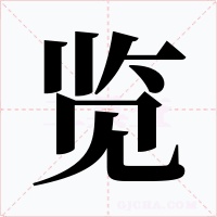 览