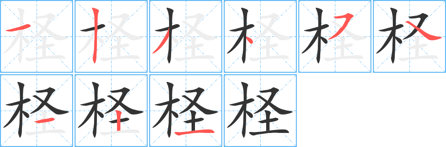 柽的笔顺写法