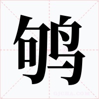鸲