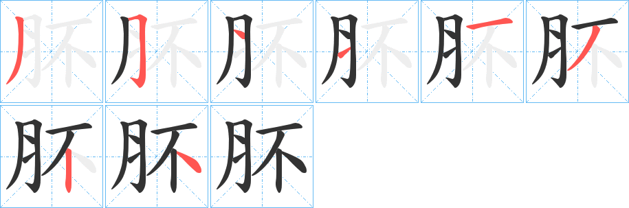 肧的笔顺写法