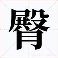 臀