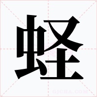 蛏