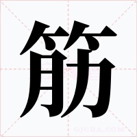 筋