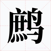 鹧