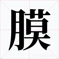 膜
