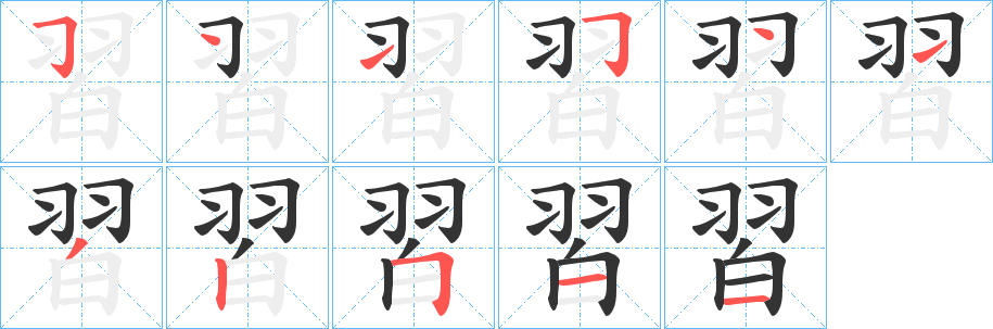習的笔顺写法