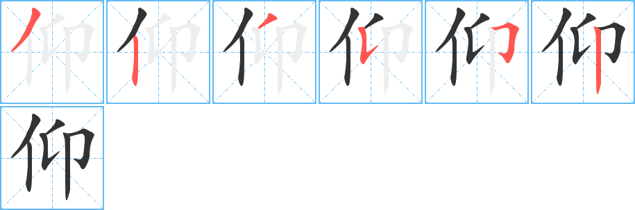 仰的笔顺写法