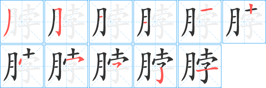 脖的笔顺写法