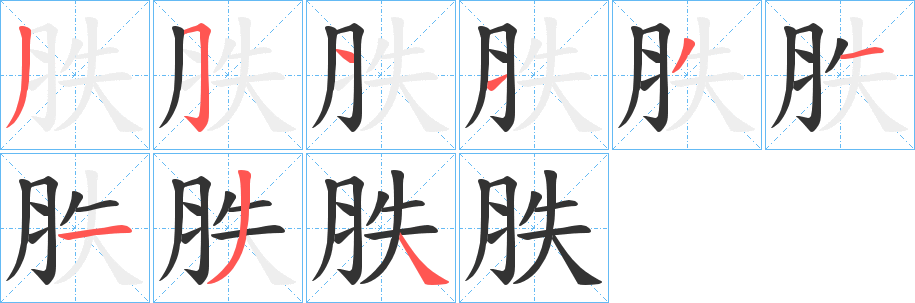 胅的笔顺写法