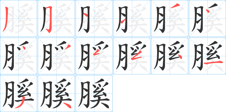 膎的笔顺写法