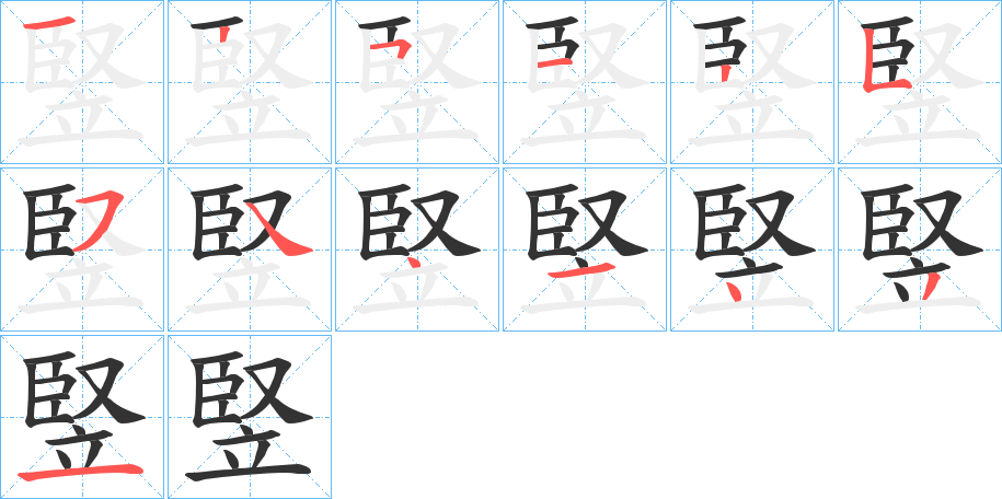 竪的笔顺写法