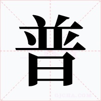 普