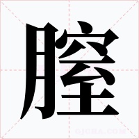 膣
