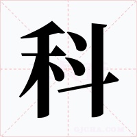 科