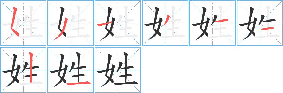 姓的笔顺写法