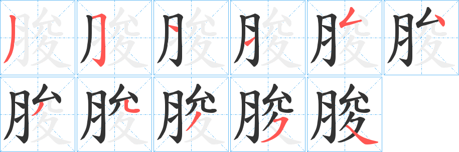 脧的笔顺写法