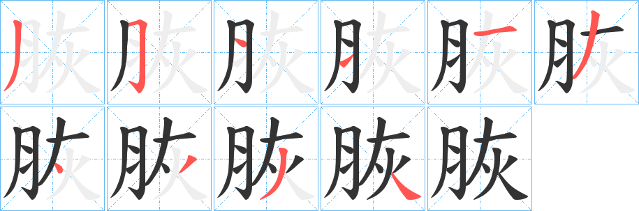 脄的笔顺写法