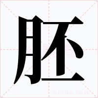 胚