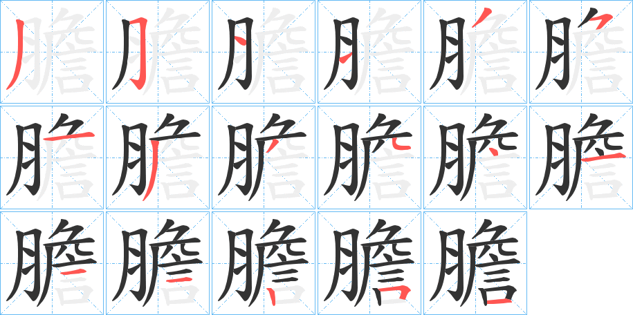 膽的笔顺写法