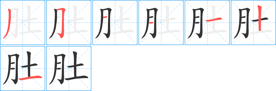 肚的笔顺写法